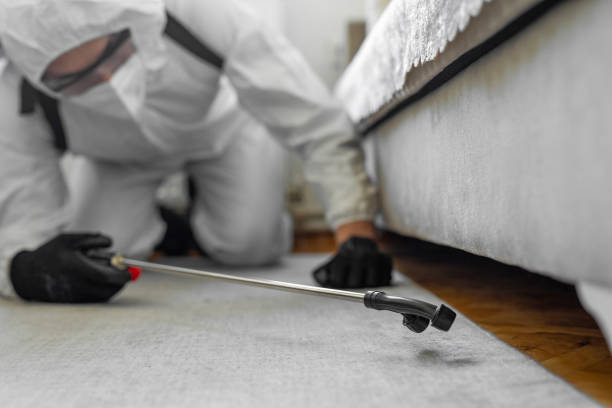 Professional Cockroach Control technician working in Lee County County, AL